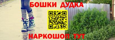 индика Тара