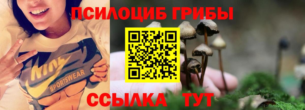 Энгельс  закладка  Псилоцибиновые грибы мухоморы  Вход с VPN  Псилоцибиновые грибы ЛСД 
